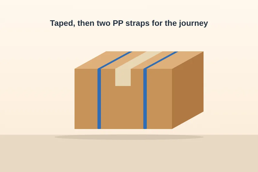 Carton sealed with tape and then held by two PP straps